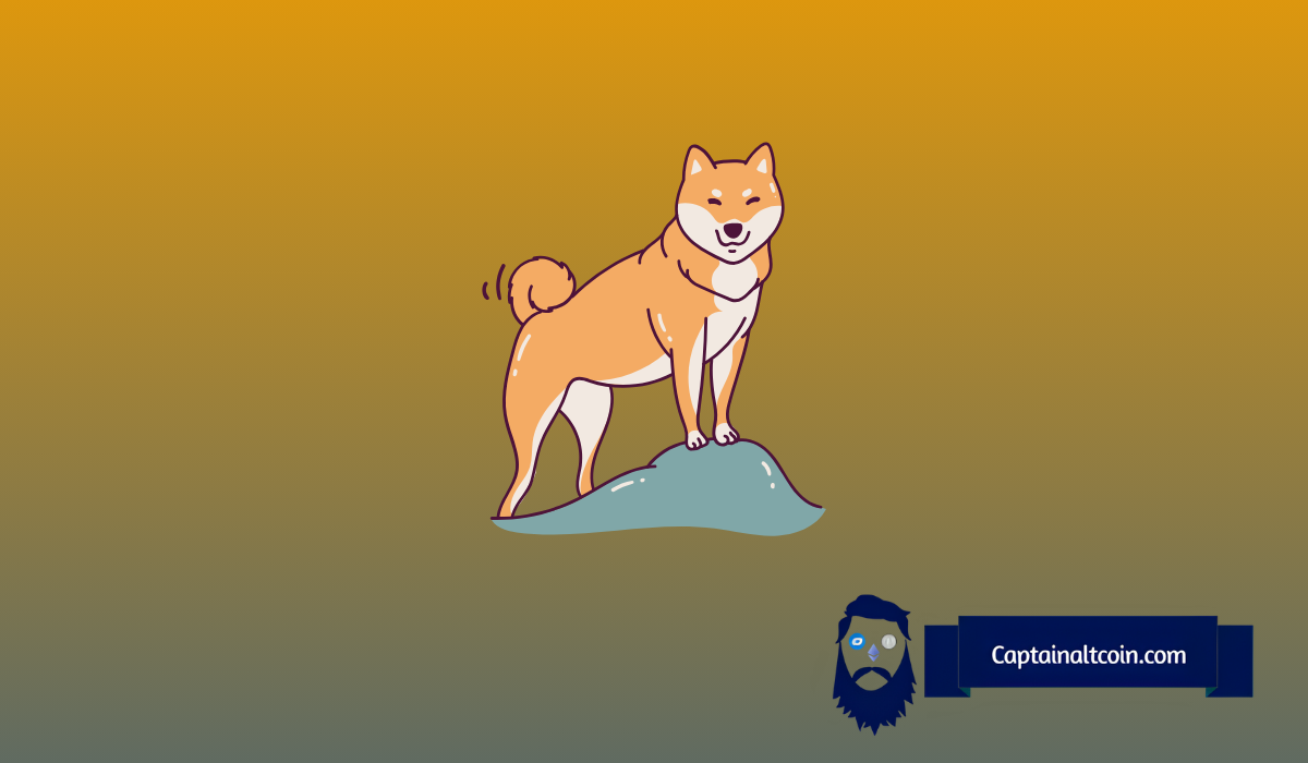 狗狗币的疯狂旅程:它会再次吠回历史高点吗?